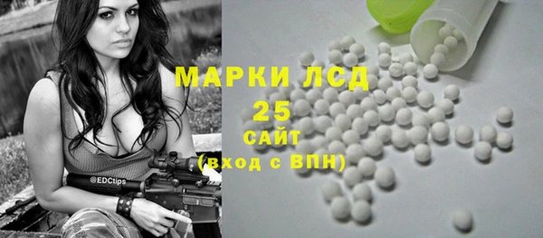 спиды Новозыбков