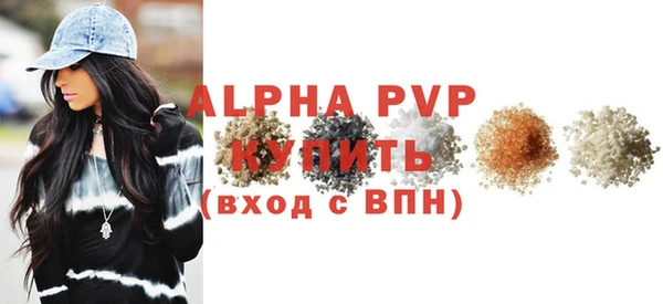 спиды Новозыбков