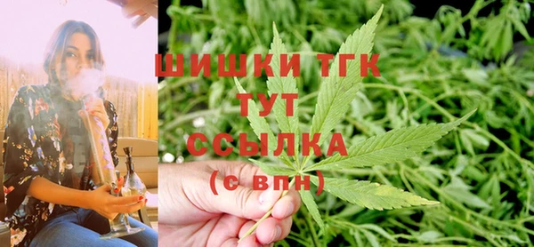 спиды Новозыбков