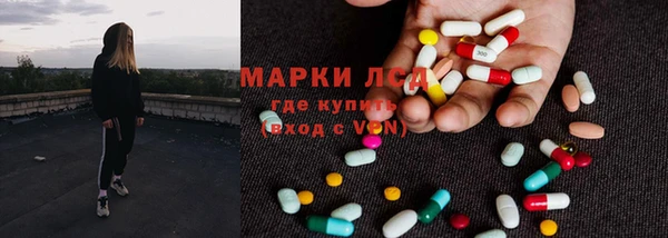 спиды Новозыбков