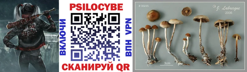 Галлюциногенные грибы Magic Shrooms Ковров