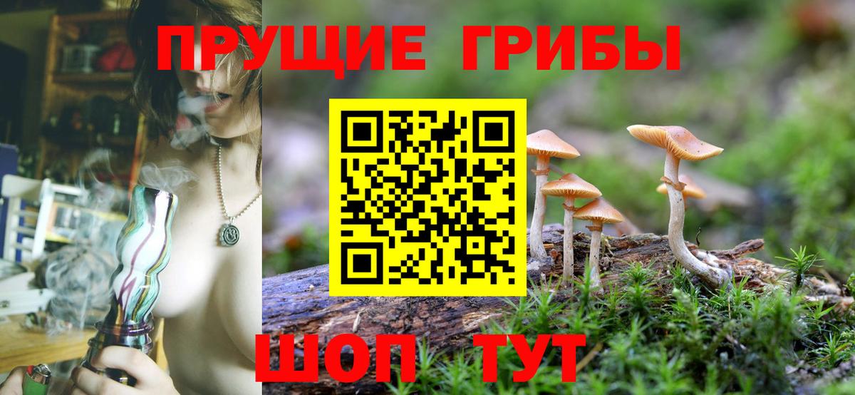 Галлюциногенные грибы мицелий  Вход с VPN  Ковров 